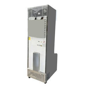 Exhibidor Refrigerado Comercial Integrado, Diseño <span class=keywords><strong>Vertical</strong></span> de Vidrio Madre-Hijo para Helados y Bebidas, <span class=keywords><strong>Congelador</strong></span> - Product Image 4