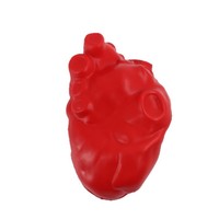 Jouets anti-stress en mousse PU en forme de poumon, écologiques, personnalisables avec logo, couleur personnalisée, cadeaux médicaux