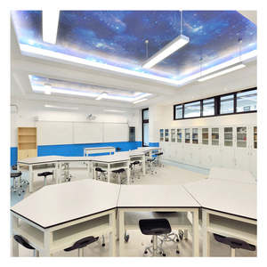 Laboratuvar mobilyası laboratuvar masaları okul kimya temiz oda denge tablosu özelleştirilmiş boyut laboratuvar masaları - Product Image 5