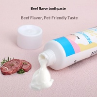 Fournitures pour animaux de compagnie : Ensemble de brosses à dents à trois têtes en plastique saveur bœuf pour chiens avec dentifrice pour le soin des gencives