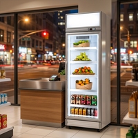 Jinfugui Porte en verre commerciale Double température Affichage des boissons Refroidisseur 450L vertical Boisson Réfrigérateur