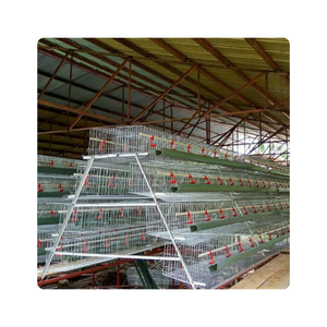 Jaula para Gallinas Ponedoras, Jaula para Aves <span class=keywords><strong>de</strong></span> Corral, para <span class=keywords><strong>Guinea</strong></span> - Product Image 1