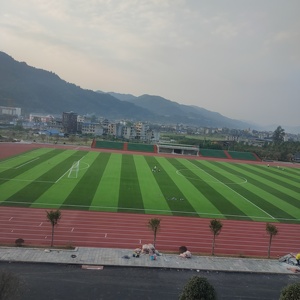 Proveedor Futsal Césped sintético Césped de fútbol artificial <span class=keywords><strong>5</strong></span> A Campo de fútbol lateral Artificial - Product Image 2