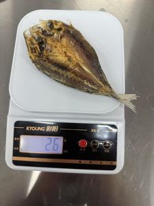 <span class=keywords><strong>ปลา</strong></span><span class=keywords><strong>แห้ง</strong></span>ทรงกลม<span class=keywords><strong>แห้ง</strong></span>สดใหม่ - Product Image 2