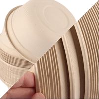 Assiette jetable dégradable classique en bagasse de fibre de bambou ensemble de vaisselle en plastique stocké respectueux de l'environnement