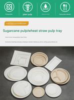 Assiettes de dîner modernes jetables écologiques personnalisées pour la rentrée scolaire, en papier compostable, motif irrégulier, modèle Ancheng 50000