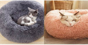 Lit orthopédique apaisant pour <span class=keywords><strong>chien</strong></span>, lit rond en peluche douce moderne, lavable, <span class=keywords><strong>coussin</strong></span> rond pour chat et <span class=keywords><strong>chien</strong></span>, pour chats d'intérieur - Product Image 2