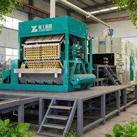 Machine à plateaux à œufs manuelle semi-automatique fiable pour la production de plateaux à œufs faits maison à la ferme avec une utilisation simple