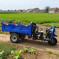 Triciclo diésel mini de 18/22/25 HP, triciclo de tres ruedas con volquete para transporte de mercancías