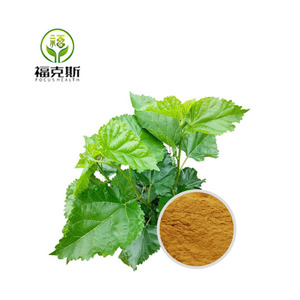 桑树果叶提取物粉末花青素中国工厂草药天然桑叶提取物 - Product Image 3