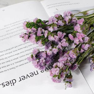 Decoración de Lujo para el Hogar, Flores Preservadas, Plantas, No <span class=keywords><strong>Me</strong></span> Olvides, Ramo Duradero, Boda, Año Nuevo Chino, Morado, Multicolor - Product Image 5