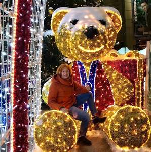 Luz LED con diseño de oso de peluche personalizada IP65 para decoración de interiores y exteriores, Navidad, jardín y fiestas. - Product Image 1