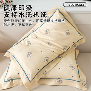 Taies d'oreiller en Lyocell pour enfants 40x60 cm, rafraîchissantes, imprimé dessin animé, rectangulaires, taille maternelle, paire de doublures intérieures - Product Image 5