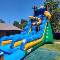 Fournitures de fête, aire de jeux extérieure en PVC, château gonflable commercial pour enfants, château gonflable avec toboggan aquatique pour adultes