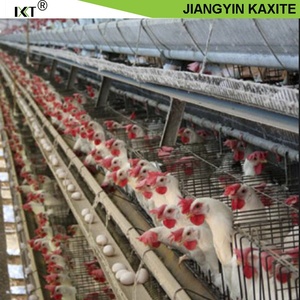 Pollame Letame Polli Da Carne di Pollo Anatra Coniglio Gabbia Pollame Letame di Rimozione Nastro Trasportatore per Altri Animali di Allevamento Attrezzature - Product Image 4