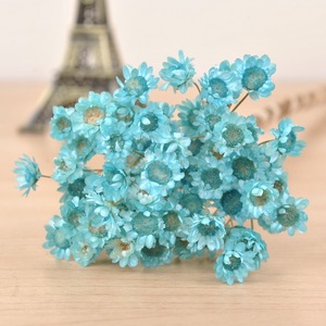 Petites <span class=keywords><strong>fleurs</strong></span> <span class=keywords><strong>séchées</strong></span> naturelles brésiliennes, magnifiques et économiques, en gros, pour la décoration artisanale de la maison (<span class=keywords><strong>mini</strong></span> marguerites, <span class=keywords><strong>fleurs</strong></span> étoilées) - Product Image 6