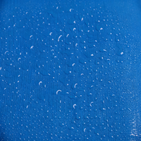 Bâche PE imperméable pour jardin, abri de plantes, bâche de protection pour bateau, voiture, camion, abri de chien, housse de pluie