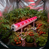Lampe de culture LED sous-canopée pour horticulture intérieure, spectre complet avec infrarouge lointain, Luminaria De Chao Prara Cultivo