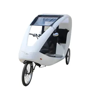 European Standard 1000W Motor Eco Electric Tricycle Adults 3 Wheel Bicycle Rickshaw for Sale