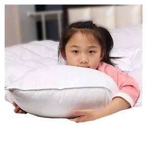 Bán buôn 50x70cm khách sạn kích thước tiêu chuẩn lông xuống gối chèn bộ đồ giường ném gối giường và ghế gối - Product Image 2