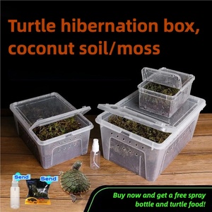 <span class=keywords><strong>Terrarium</strong></span> et boîte d'hibernation <span class=keywords><strong>pour</strong></span> reptiles en plastique-Cage ventilée <span class=keywords><strong>pour</strong></span> tortues, araignées, grenouilles à cornes et geckos - Product Image 5