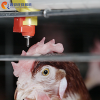 QZH Abreuvoir à bille en acier inoxydable de bonne qualité à 360 degrés pour volailles en cage, avec valve et tétine