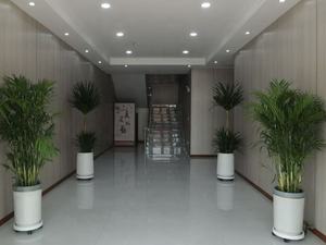 0,20 mm Koruyucu Tel <span class=keywords><strong>Blister</strong></span> Ambalajı 25+ Yıllık Üretim Deneyimiyle - Product Image 2