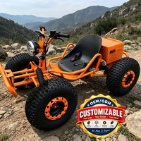 Kart électrique personnalisable, populaire, puissant, 1000W, 48V, capacité de charge de 150 kg, frein à disque hydraulique, pour loisirs en plein air