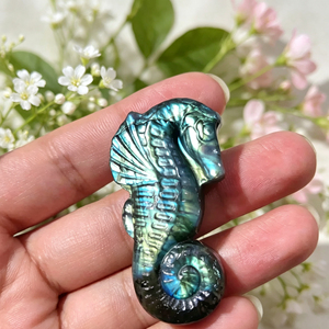 Figurine de cheval de mer en labradorite sculptée, forme animale, design spirale à reflets bleus, énergie océanique, objet de collection artistique pour pendentif DIY, vente en gros - Product Image 2