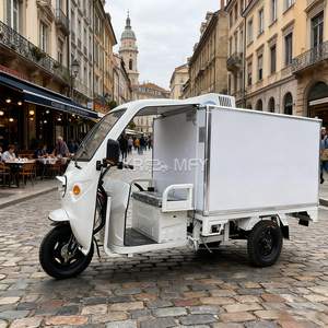Tricycle électrique à trois roues alimenté à l'énergie solaire pour le transport d'aliments congelés et le stockage en chambre froide - Product Image 5