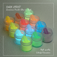 Poudre de pigment fluorescent lumineux, idéale pour le nail art, poudre néon, peut être mélangée à de la colle pour créer des effets lumineux fluorescents DIY.