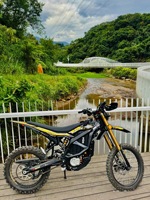 Vélo tout-terrain Ultra Bee 318 mm de hauteur au sol, pente maximale de 80 %, absorption des chocs de 240 mm, parfait pour la boue, la roche, le sable et les sentiers raides