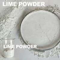 Hydroxyde de calcium de qualité pharmaceutique, chaux hydratée de haute pureté