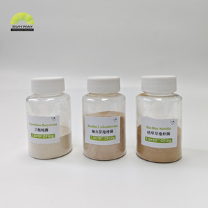 <span class=keywords><strong>Probióticos</strong></span> Bacillus Subtilis/Bacillus Licheniformis para Aves de Corral, 100 Mil Millones de UFC/g, Polvo Probiótico Animal, CAS 68038-66-4 - Product Image 6