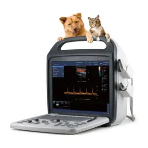PT-10V 노트북 수의학 초음파 스캐너 중국 15 인치 의료 수의사 애완 동물 고양이 초음파 스캐너