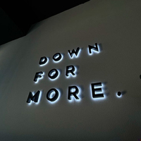 Letras de Logotipo Publicitario Acrílicas con Retroiluminación LED 3D Personalizadas para Tiendas al Aire Libre - Iluminación Impermeable IP65