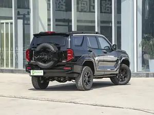 In Stock 2025 <span class=keywords><strong>China</strong></span> Nieuwe Energie Voertuigen Auto 'S Tank Gebruikte Auto 'S - Product Image 3