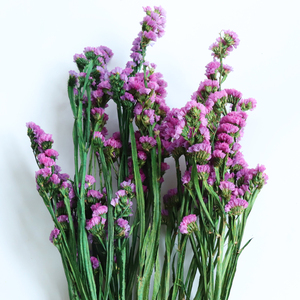 Suministro directo de fábrica Flor eterna Flor estática preservada duradera No <span class=keywords><strong>me</strong></span> olvides para la decoración de la boda del Día de San Valentín - Product Image 2