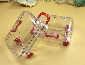 Boîtes cadeaux en plastique transparentes personnalisées, mini dossiers, design en matériaux recyclés, boîte à bonbons, gaufrage, <span class=keywords><strong>d</strong></span>écoration de fête <span class=keywords><strong>d</strong></span>'<span class=keywords><strong>anniversaire</strong></span> - Product Image 6