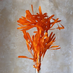 Dolichos lablab ดอกไม้และพืชฝักถั่วดอกไม้แห้งดอกไม้ตกแต่งบ้าน - Product Image 2