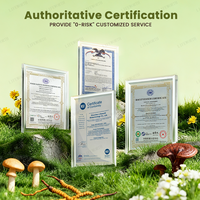 Café en poudre aux herbes personnalisé pour adultes, certifié GMP, pour l'énergie, l'immunité et la concentration cérébrale, avec champignons Crinière de lion et Reishi, marque privée