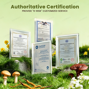 Private Label Energie Immuun & Focus Brein Aangepaste Leeuwen Manen Reishi Champignon Koffie Energie Kruidenpoeder - Product Image 2