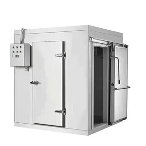 Caminhada personalizada de alta eficiência na sala fria do congelador de carne da unidade refrigeradora para manter frutas frescas, legumes e peixes