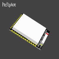 Módulo Transceptor de Radio RF Holyiot 18010 BLE 5.3 de Bajo Consumo de Energía, Módulo BLE NRF52840