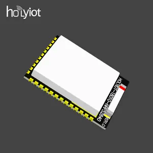 Radio Rftransceiver Holyiot 18010 Ble 5.0 Module Ble 5.0 Module/Laag Stroomverbruik Ble Module NRF52840