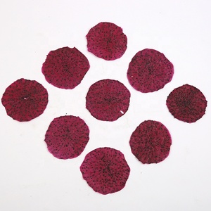 Fruits de Pitahaya Séchés Chinois, Tranches de Dragon <span class=keywords><strong>Fruit</strong></span> Rouge Déshydratées pour Infusion - Product Image 3