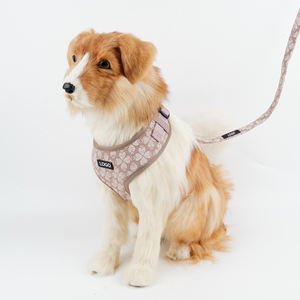 Coleira Personalizada para Cães de Estimação, Conjunto de Coleira e Guia Ecológico e Confortável, Respirável - Product Image 2