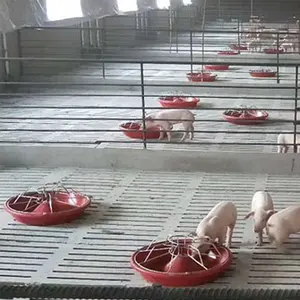 automatic piglet feeder feed delivery farm pig