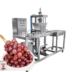 Hot Sale Voll automatische Gerste Burst Perlen Klebreis Q Kugel Hafer Schwarzer Reis Sago Hufeisen Popping Pearls Making Machine