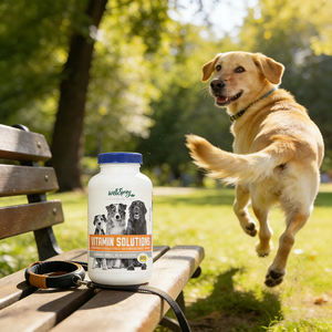 โรงงาน<span class=keywords><strong>ขายส่ง</strong></span> คอนดรอยติน เอ็มเอสเอ็ม ยาแก้อักเสบสำหรับสุนัข บำรุงสะโพกและข้อต่อ ชนิดเคี้ยวได้ วิตามินเสริม - Product Image 4